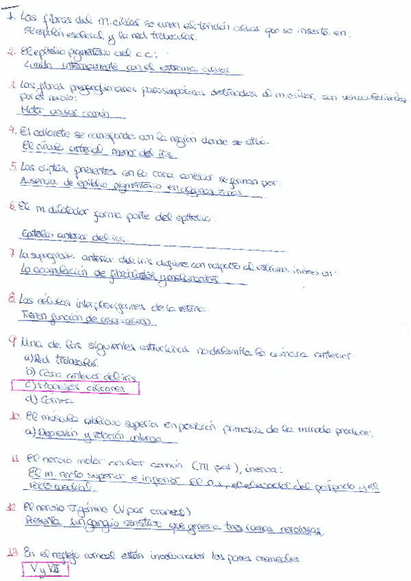 Miniatura del documento test  anatomia visual.pdf