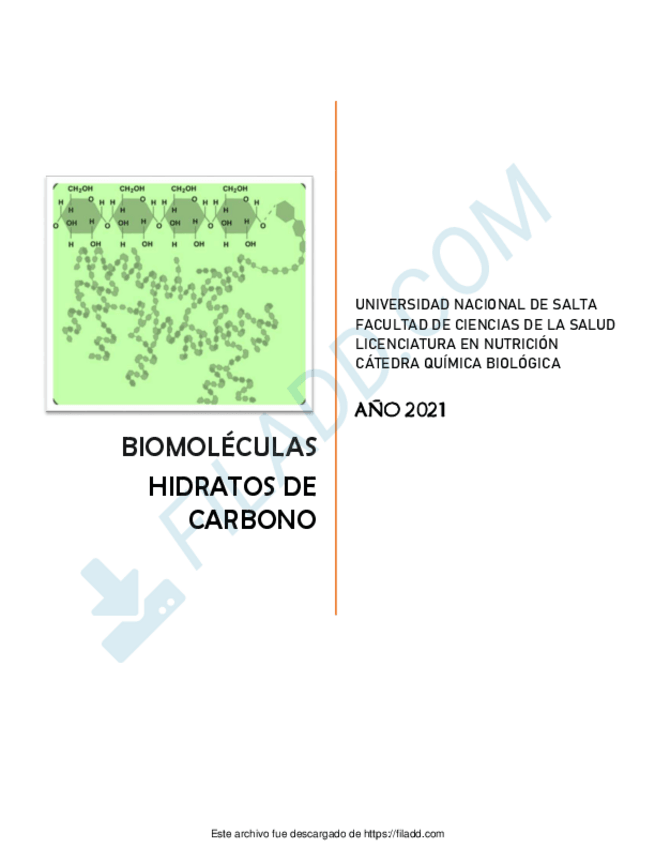 Miniatura del documento ARCHIVO-8-CARTILLA-DE-HIDRATOS-DE-CARBONO-2021.pdf