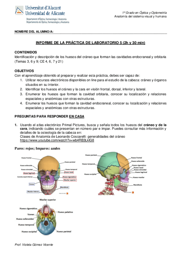 Miniatura del documento practicas-anatomia.pdf