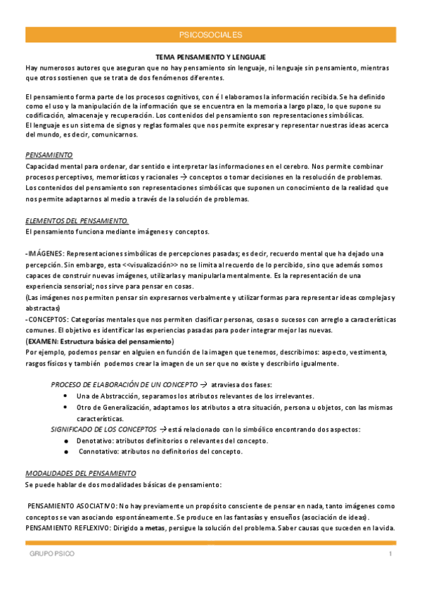 Miniatura del documento PENSAMIENTO-Y-LENGUAJE.pdf