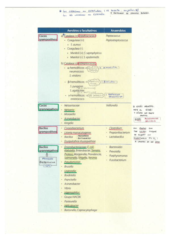 Miniatura del documento Infecciosas.pdf