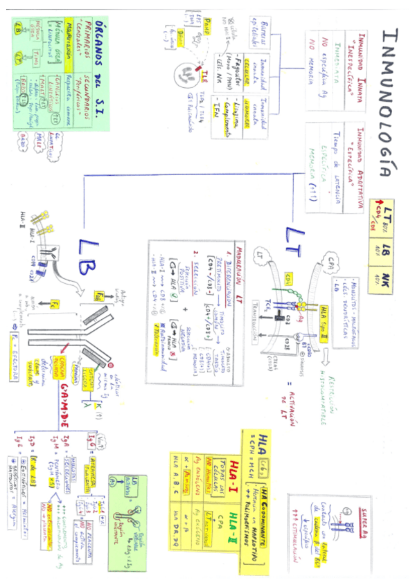 Miniatura del documento Inmunología.pdf