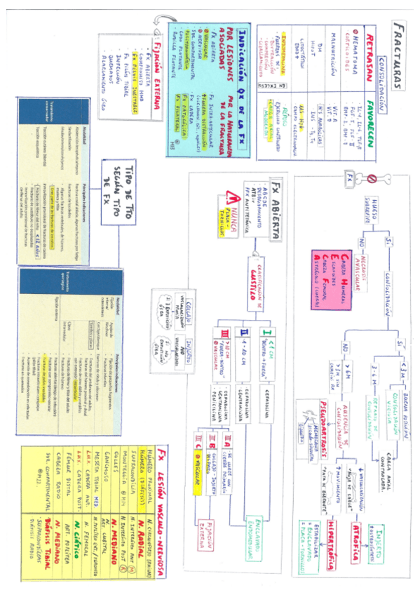 Miniatura del documento Traumatología.pdf