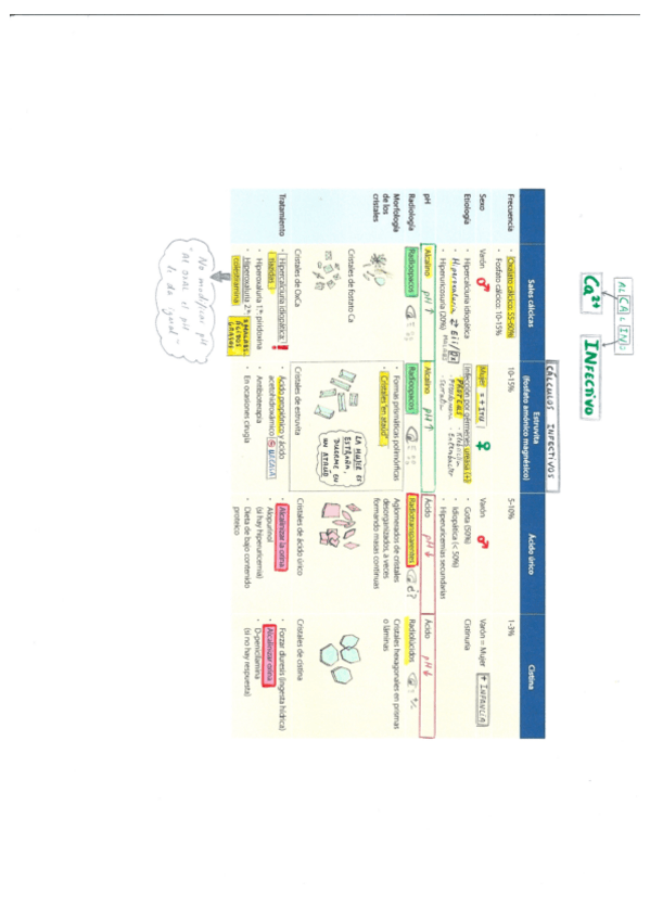 Miniatura del documento Urología.pdf