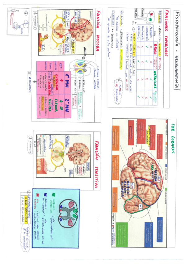 Miniatura del documento Neurología.pdf