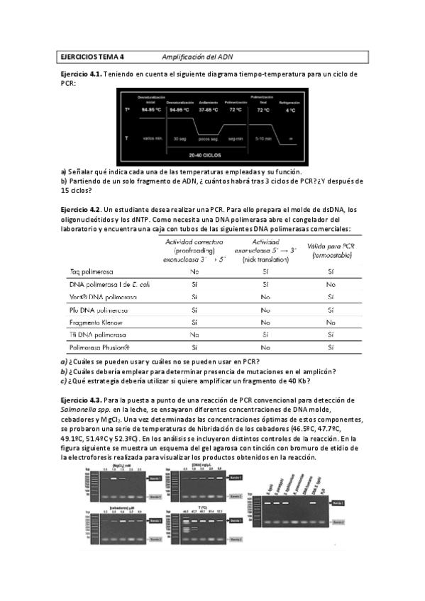 Miniatura del documento EJERCICIOS-TEMA-4.pdf