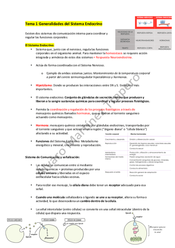 Miniatura del documento Tema-1-Generalidades-del-Sistema-Endocrino.pdf