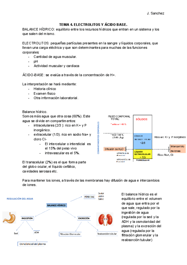 Miniatura del documento ACIDO-BASE-BP.pdf