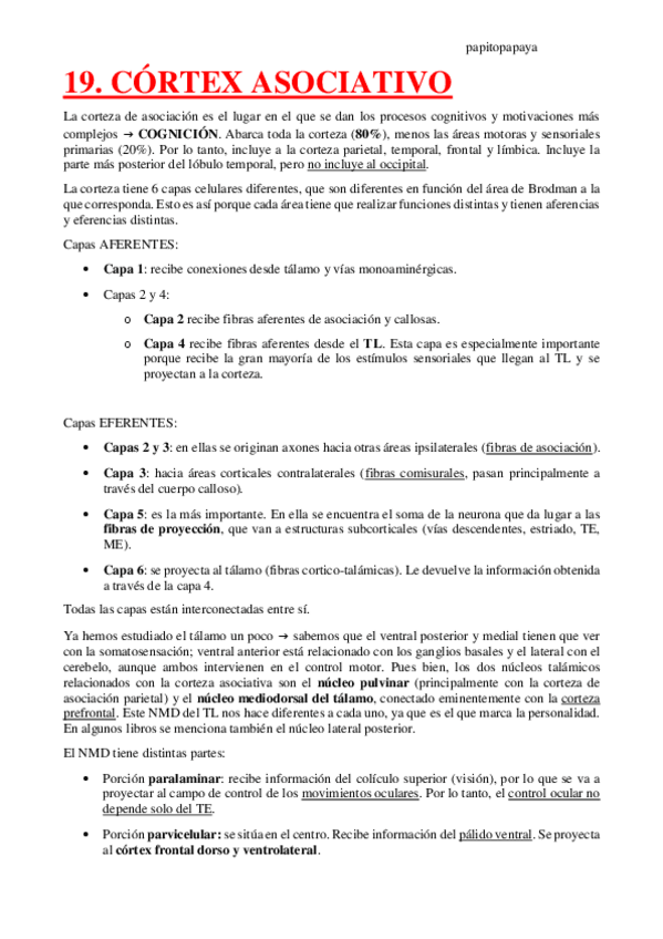 Miniatura del documento 19.-Cortex-asociativo.pdf