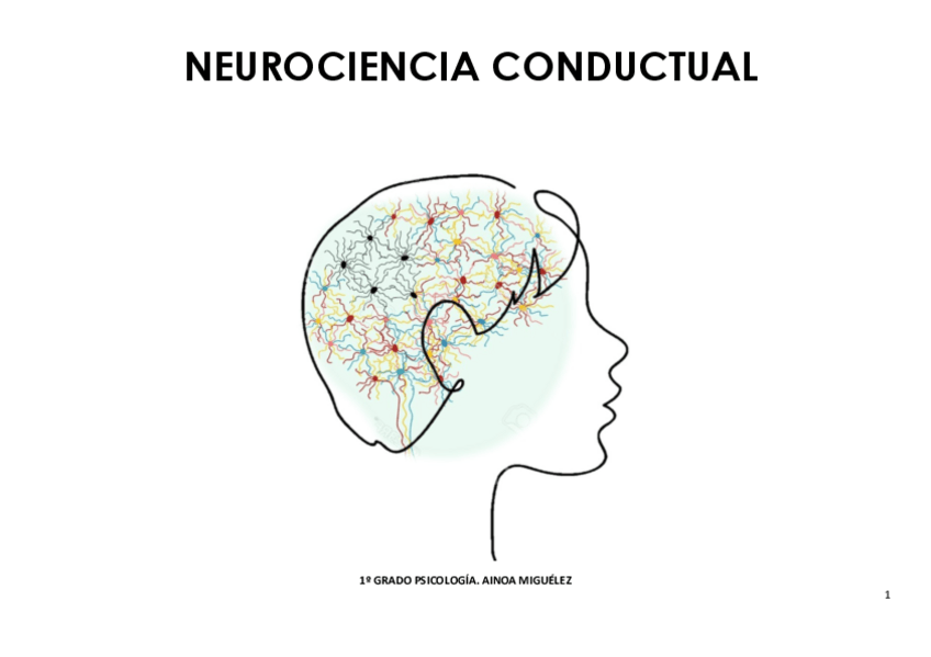 Miniatura del documento Neurociencia-conductual.-Expositivas-1.pdf