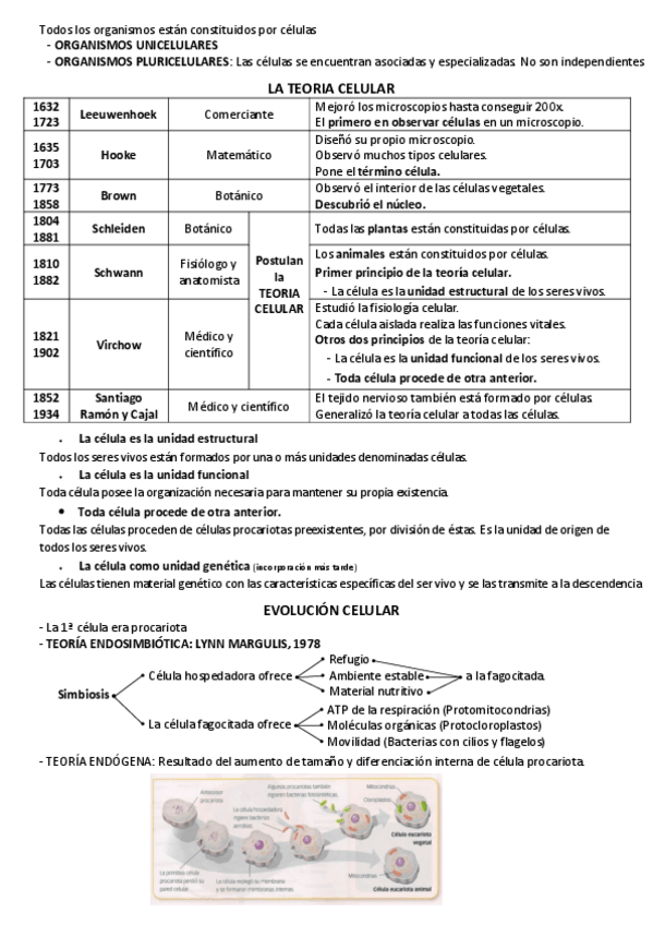 Miniatura del documento T2.pdf