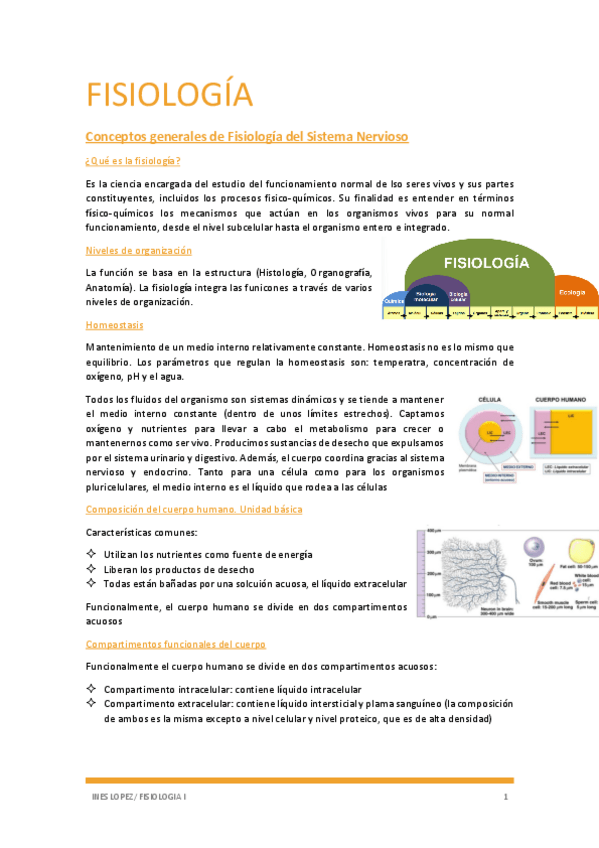 Miniatura del documento tema-1-fisio.pdf