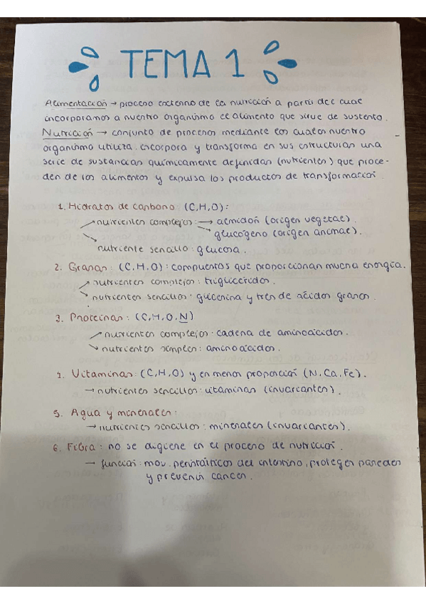 Miniatura del documento ESQUEMAS-MEDIO.pdf