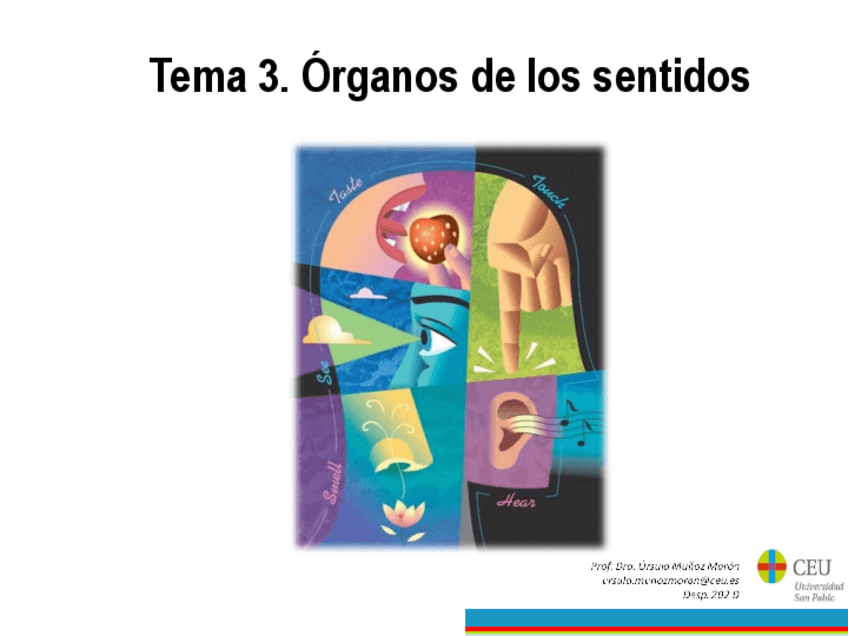 Miniatura del documento Bloque-1.-Tema-3-Parte-I.pdf