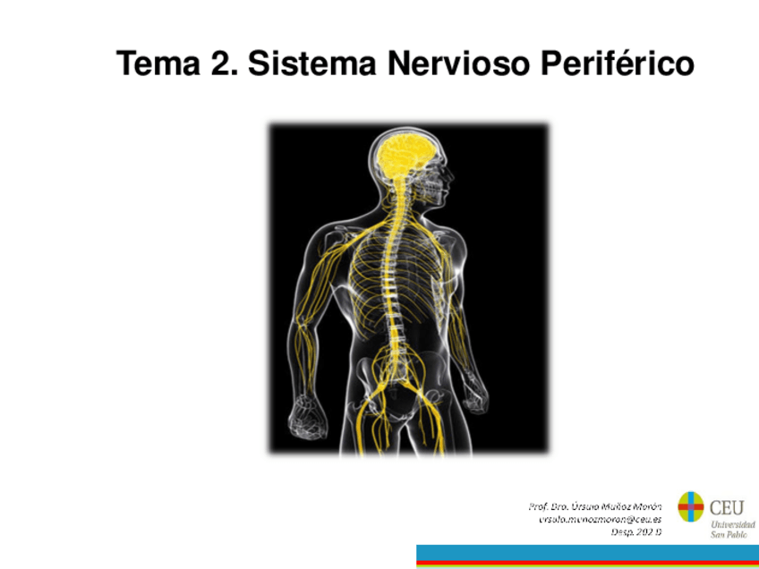 Miniatura del documento Bloque-1.-Tema-2.pdf