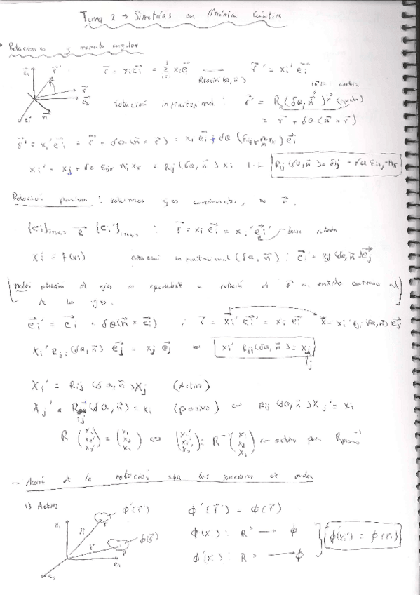 Miniatura del documento MCuApuntesSimetrias.pdf