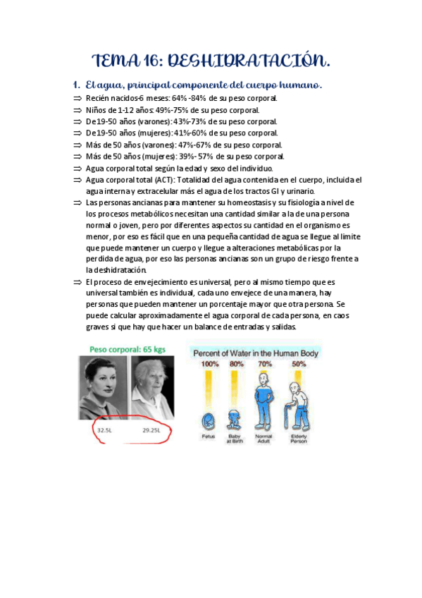 Miniatura del documento TEMA-16.pdf