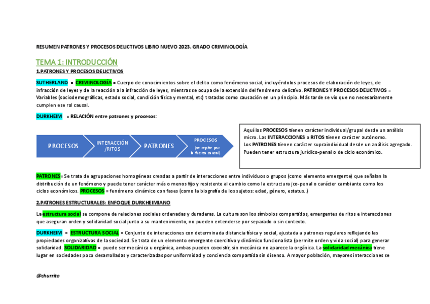 Miniatura del documento RESUMEN-PATRONES-Y-PROCESOS-DELICTIVOS-LIBRO-NUEVO-2023.pdf