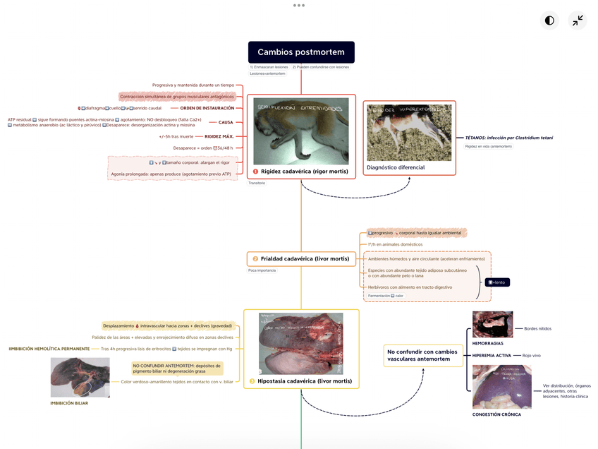 Miniatura del documento Cambios-postmortem-1.png