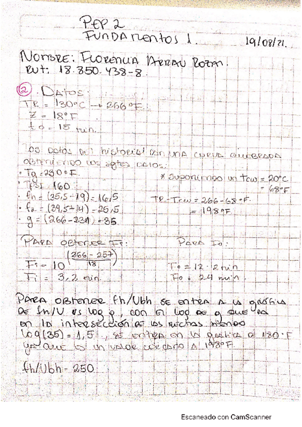 Miniatura del documento Pep-2-FLORENCIA-ARRAU.pdf