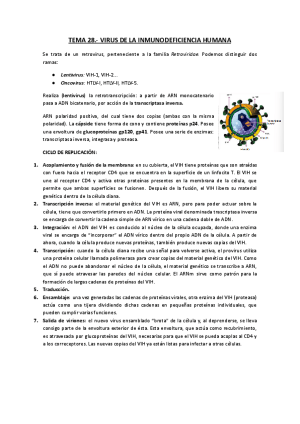 Miniatura del documento Copia-de-TEMA-28.-VIRUS-VIH-ampliar.docx.pdf