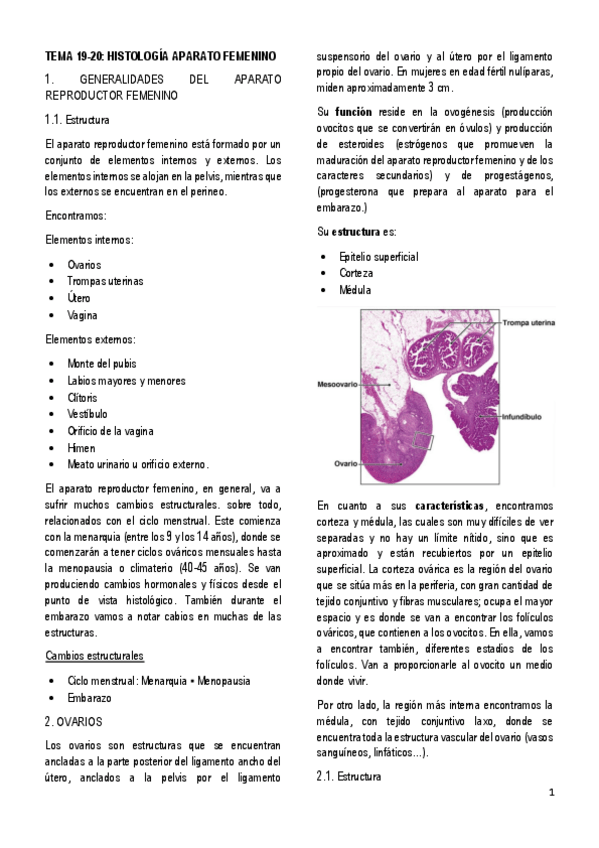 Miniatura del documento 19-20.-HISTOLOGIA-APARATO-FEMENINO.pdf