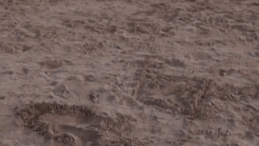 Miniatura del documento Practica-2.-Videopoema-27-abr-2021-1037.MOV