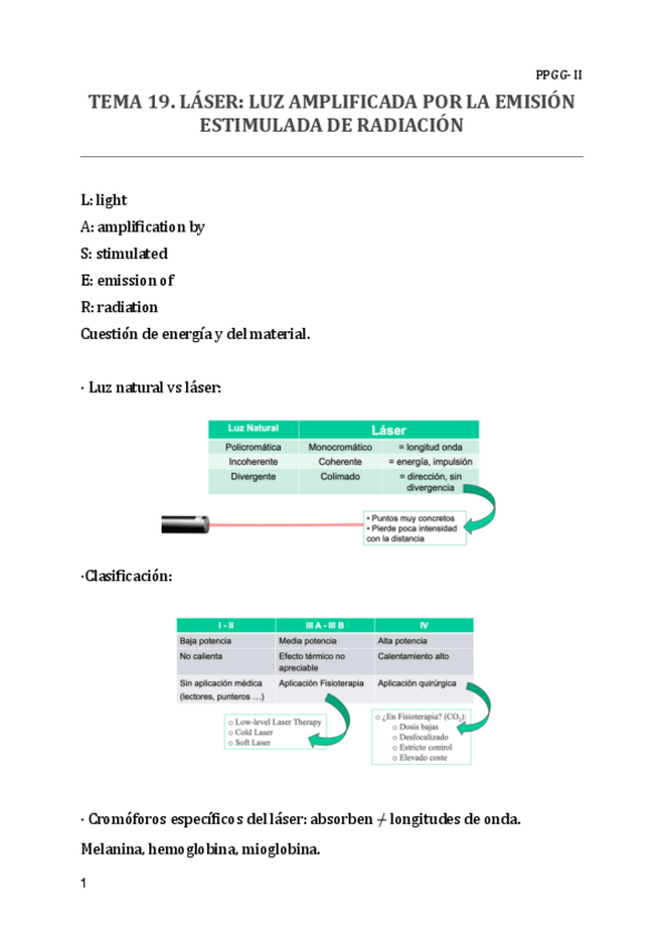 Miniatura del documento TEMA-19-PPGG.pdf