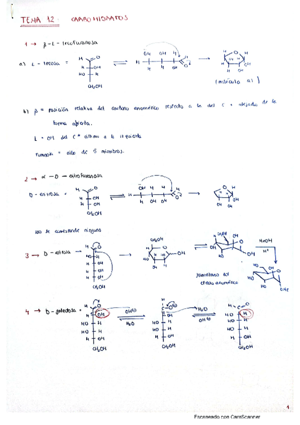 Miniatura del documento tema-12-problemas.pdf