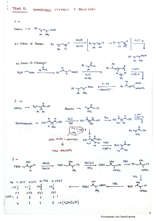 Miniatura del documento tema-13-problemas.pdf