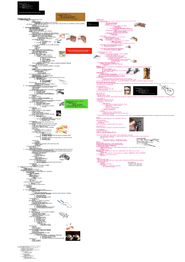Miniatura del documento Practico-2°Parcial-POR.pdf