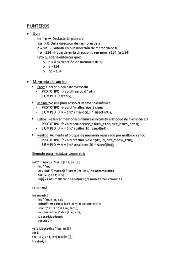 Miniatura del documento RESUMEN-PUNTEROS.pdf
