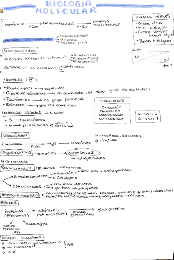 Miniatura del documento Resumen-Biologia-temario-completo.pdf