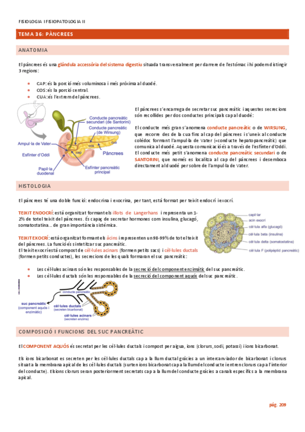 Miniatura del documento TEMA-36-PANCREES.pdf