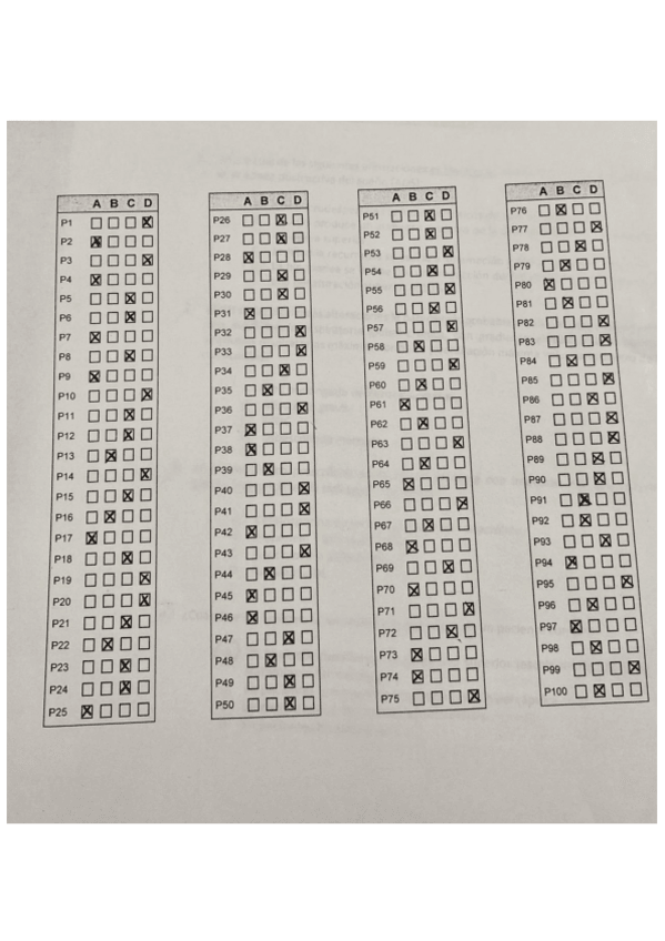 Miniatura del documento PLANTILLA.pdf