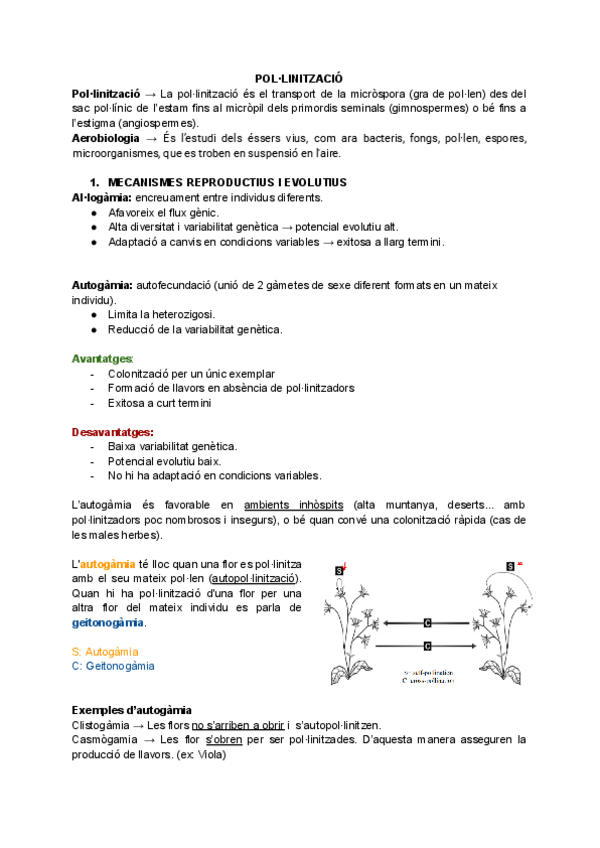 Miniatura del documento Seminari-Pollinitzacio.pdf