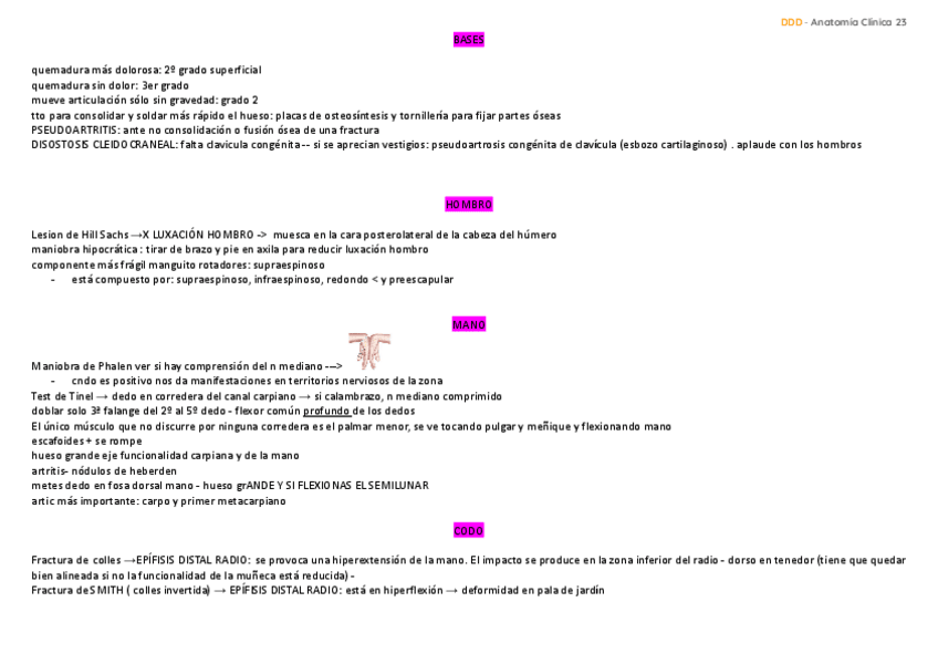 Miniatura del documento resumen-examenes-anatomia-clinica.pdf