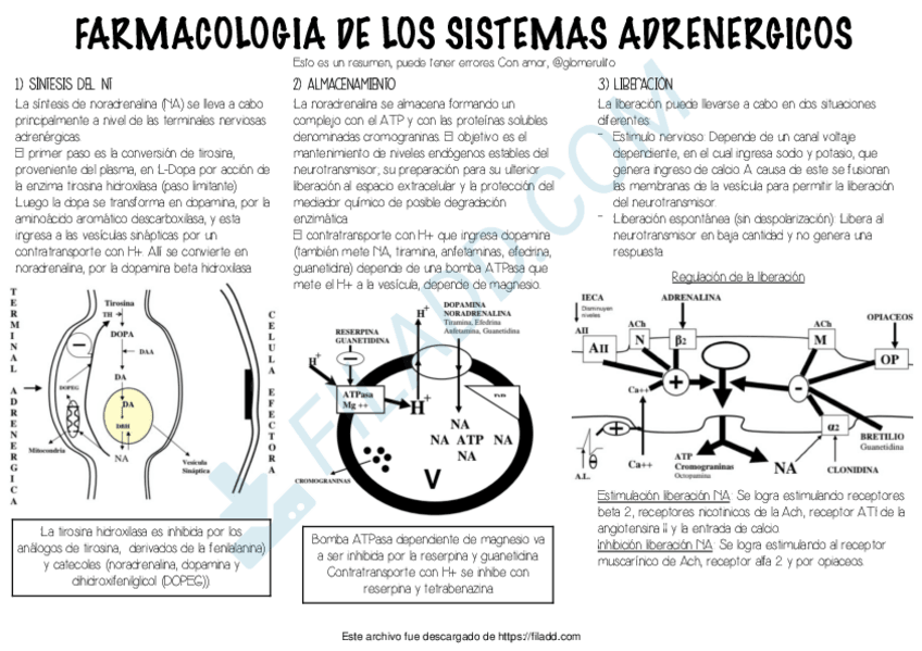 Miniatura del documento 7Adrenergicos.pdf