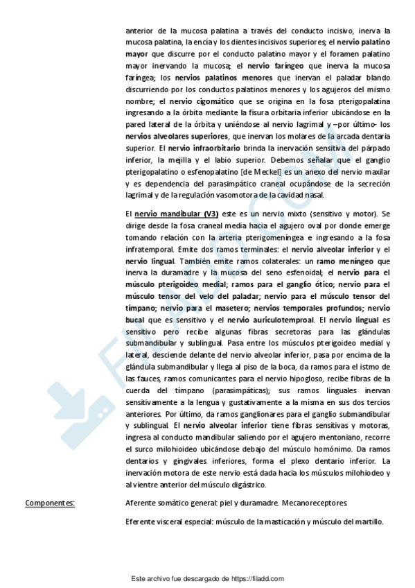 Miniatura del documento Lengua-8.pdf