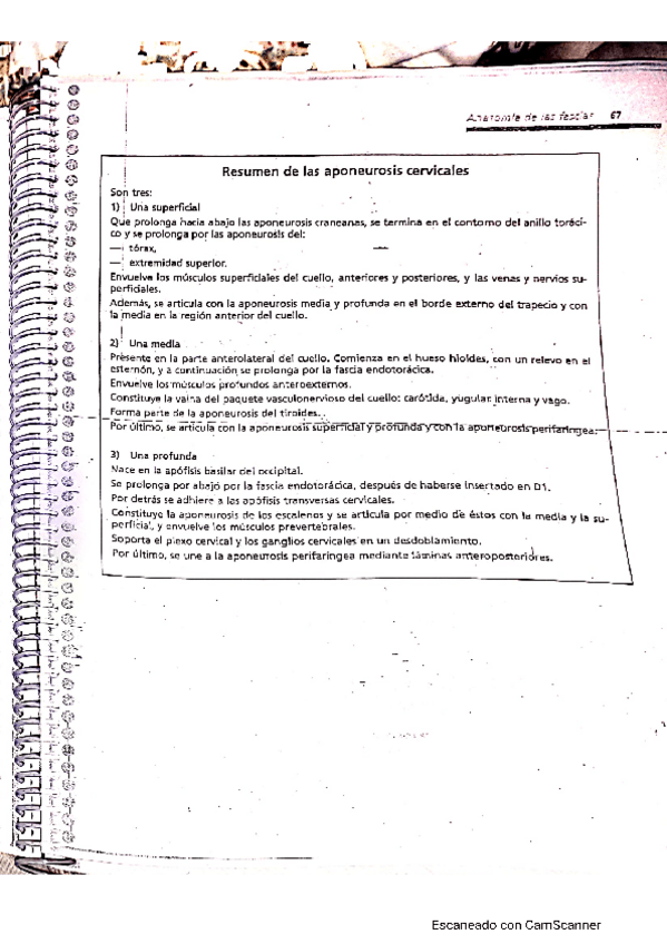 Miniatura del documento HOMBRO-7.pdf
