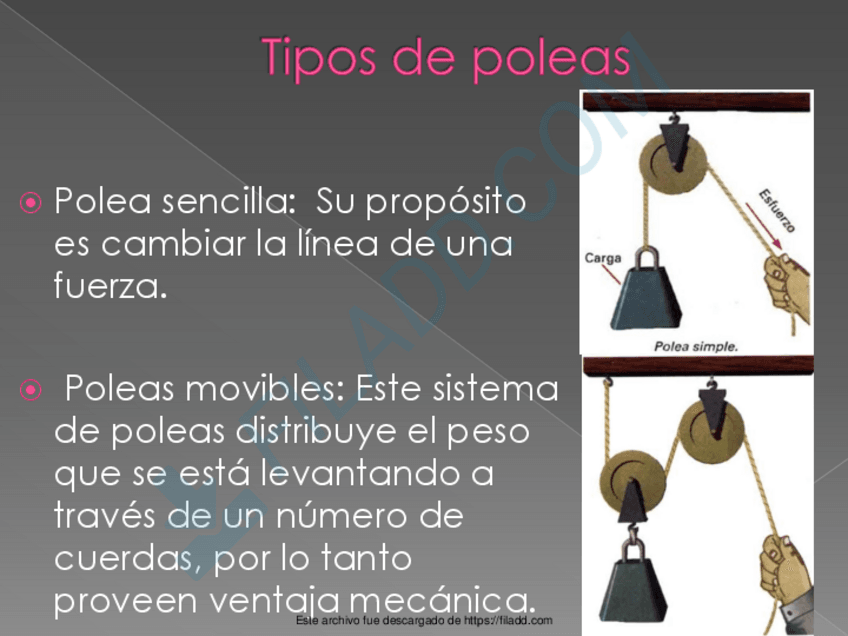 Miniatura del documento HOMBRO-2.pdf