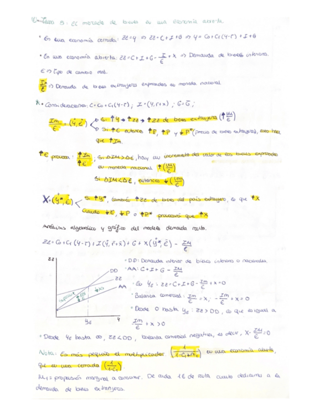 Miniatura del documento T5.pdf