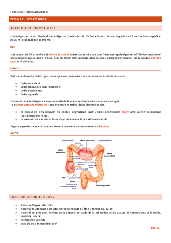 Miniatura del documento TEMA-39-INTESTI-GROS.pdf