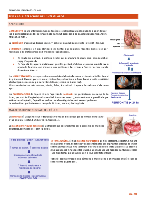 Miniatura del documento TEMA-40-ALTERACIONS-DE-LINTESTI-GROS.pdf