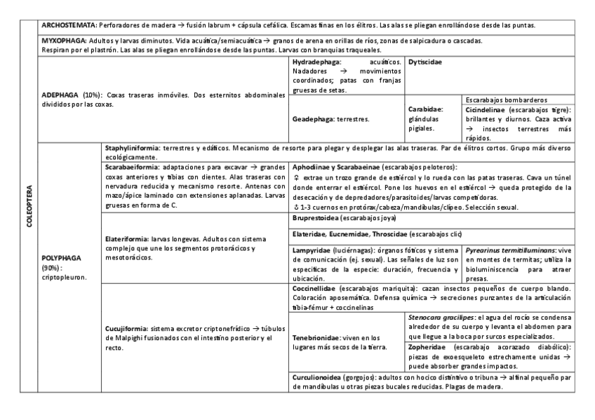 Miniatura del documento Taula-diversitat-coleoptera-diptera-y-lepidoptera.pdf