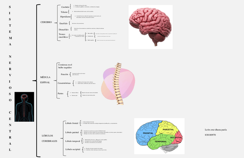 Miniatura del documento SNC.pdf