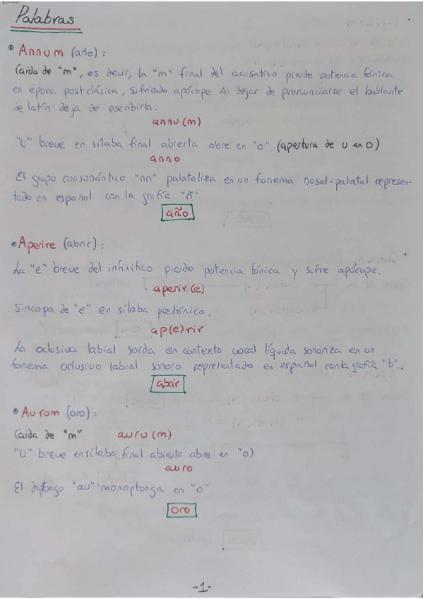 Miniatura del documento PALABRAS-LATIN.pdf