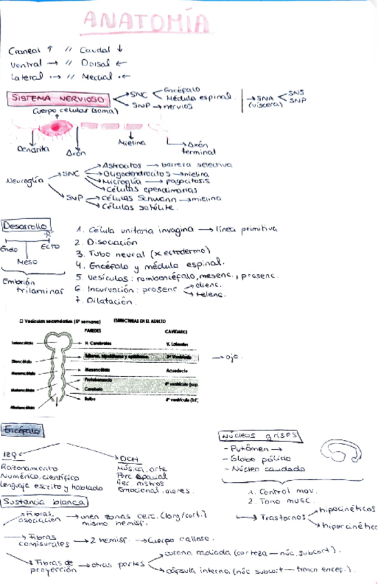 Miniatura del documento Parcial-1-resumen.pdf