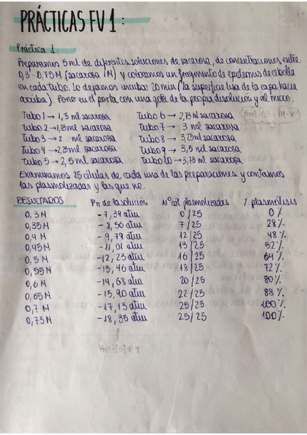 Miniatura del documento practicas-fv1.pdf