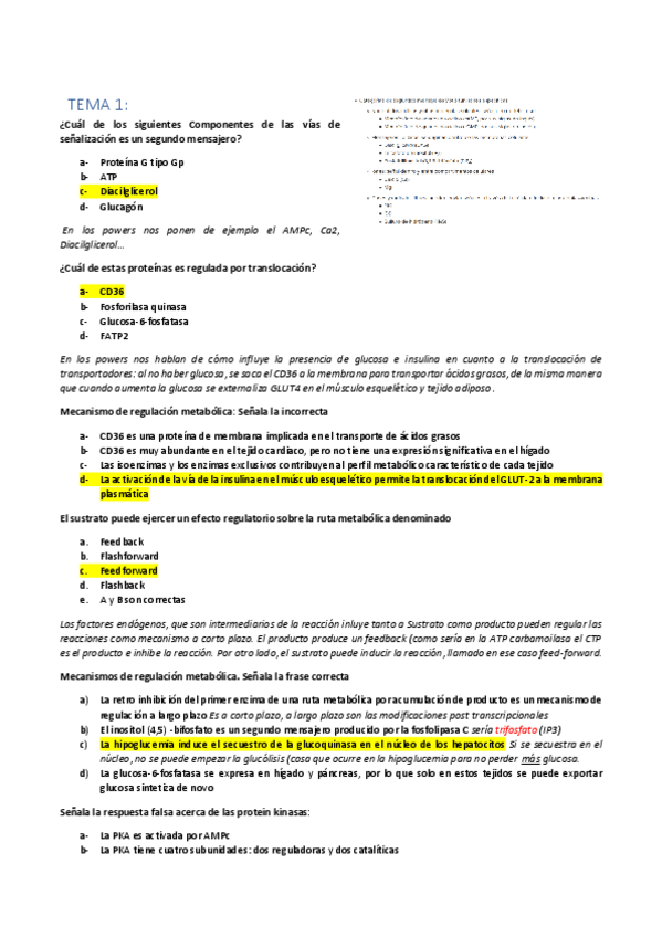 Miniatura del documento POOL-PREGUNTAS-POR-TEMAS-TIPO-TEST.pdf